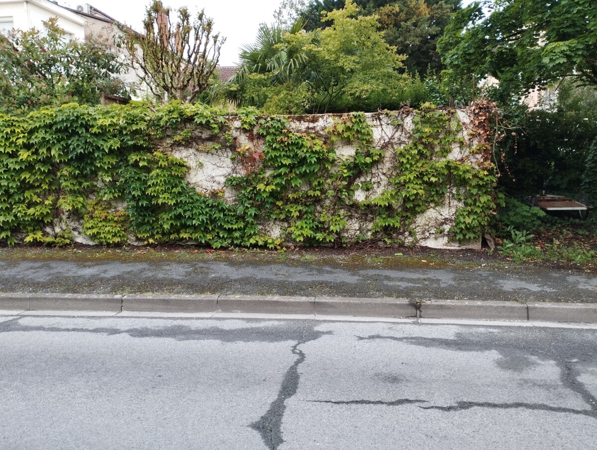 Création d'accès à un jardin. Vue du mur avant sa démolition.